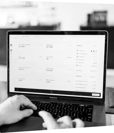 Ecommerce revenue