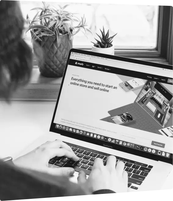 Shopify screen