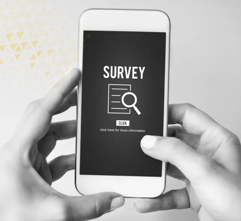 image of survey infographic on cellphone