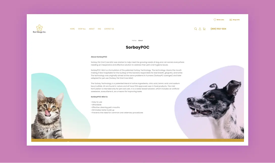 Portfolio Page