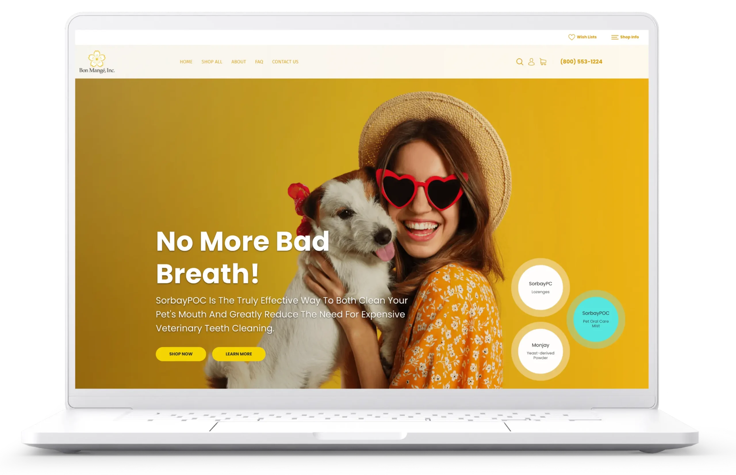Portfolio Page