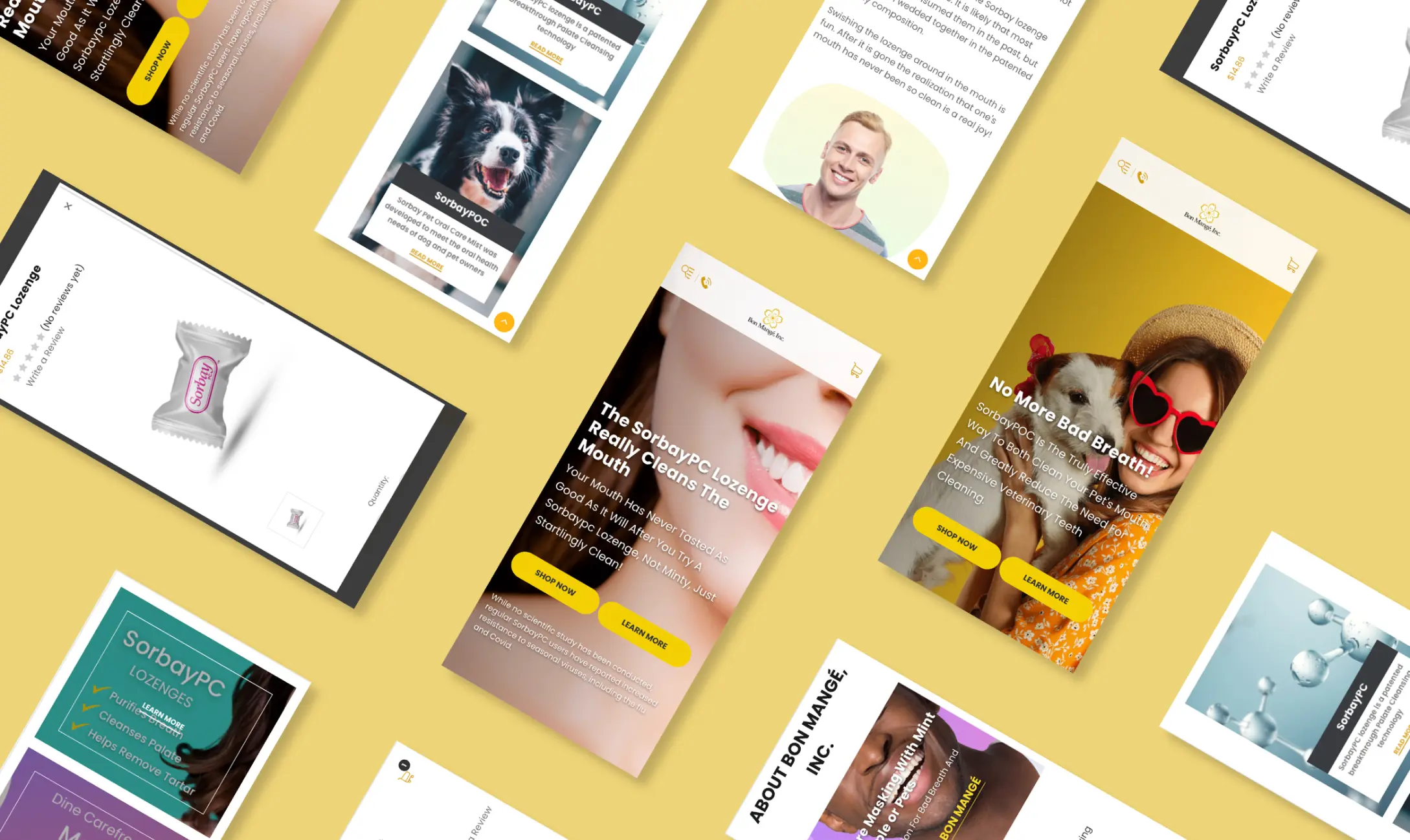 Portfolio Page