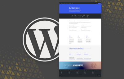 Next-Level Web Security: Why WordPress for Enterprise is the Answer